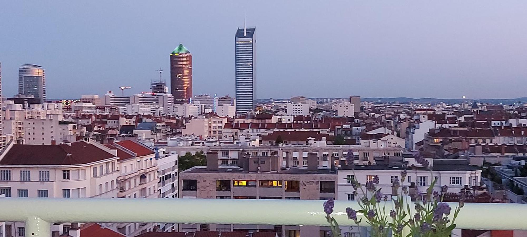 Appartamento Plein Sud Terrasse Climatisation Garage Netflix Lione Camera foto