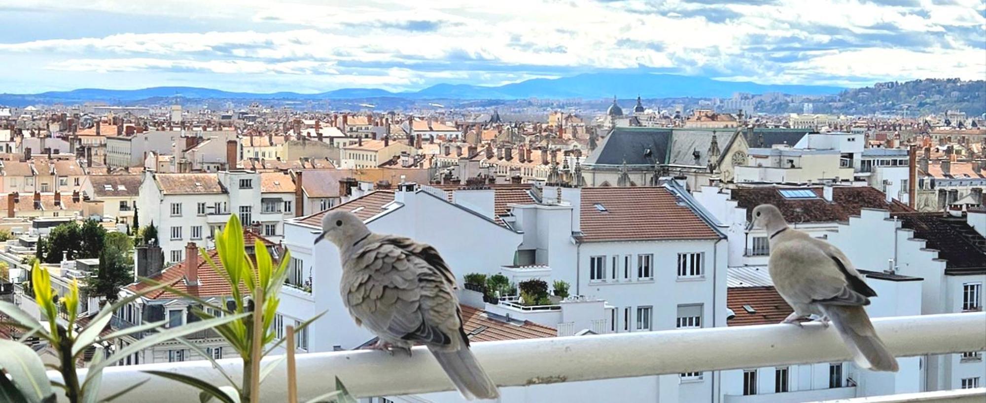 Appartamento Plein Sud Terrasse Climatisation Garage Netflix Lione Esterno foto